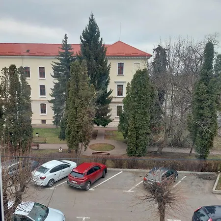 Trandafirului Residence Central Suceava Exterior photo