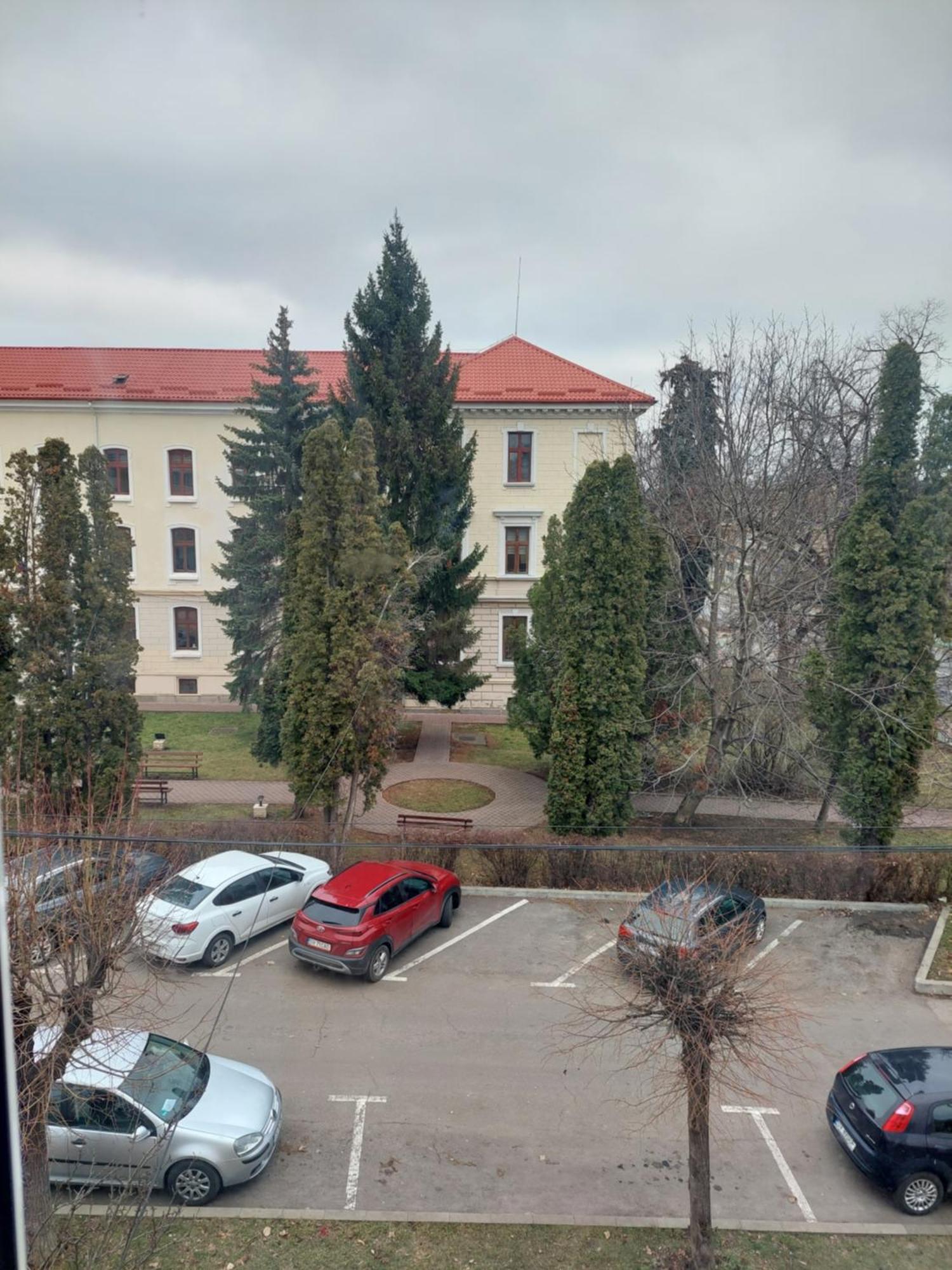 Trandafirului Residence Central Suceava * Suceava